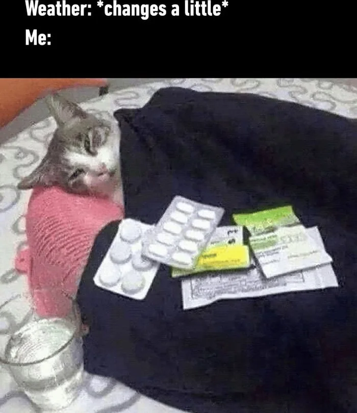 Cat surrounded by medications, pills, and medical supplies, depicting overreaction to minor weather changes. Text: Weather: *changes a little* / Me:
