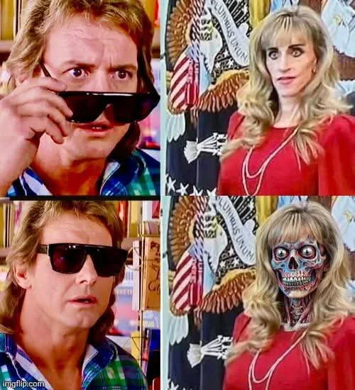 When you finally see the truth. Man wearing sunglasses looking at woman's face transforming into skull imagery in four-panel meme format