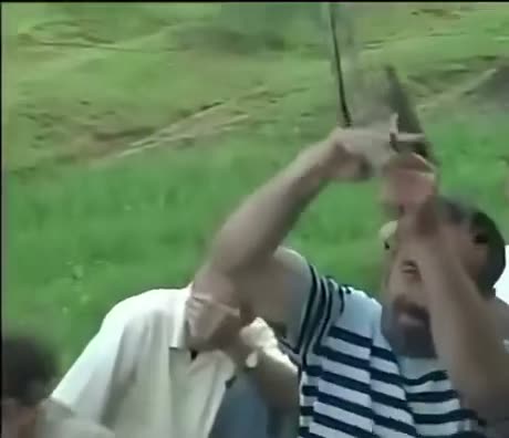 Darwin Award Picknick