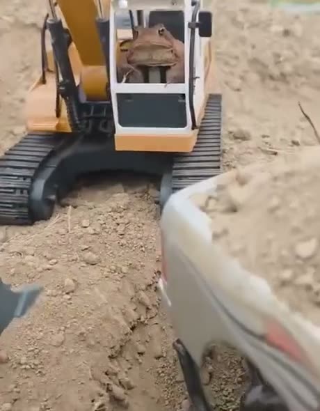 When your crew takes payment in bugs