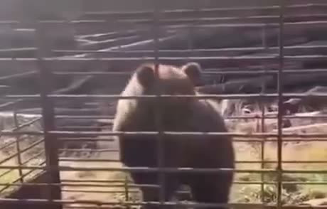 Absolutely adorable and fluffy