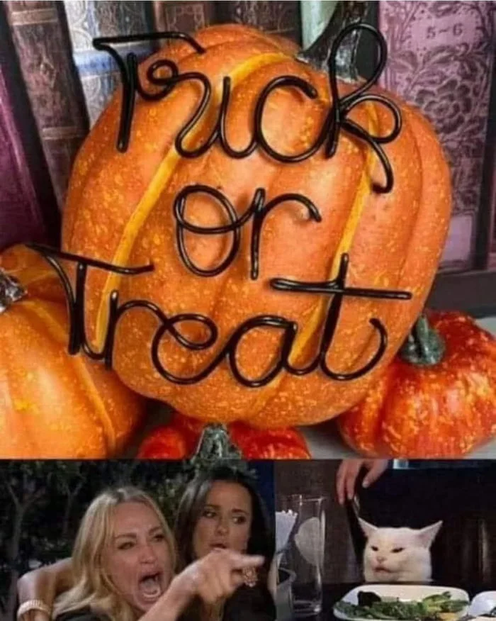 The neighborhood house everyone agrees to skip. Meme comparing a pumpkin with wire text to two reacting women and a confused cat. Text: Fuck or Toad