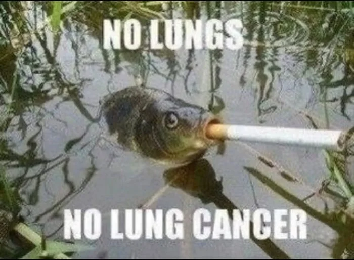 Fish smoking a cigarette underwater with text about having no lungs and no lung cancer. Text: NO LUNGS / NO LUNG CANCER
