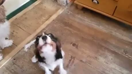 He wants something