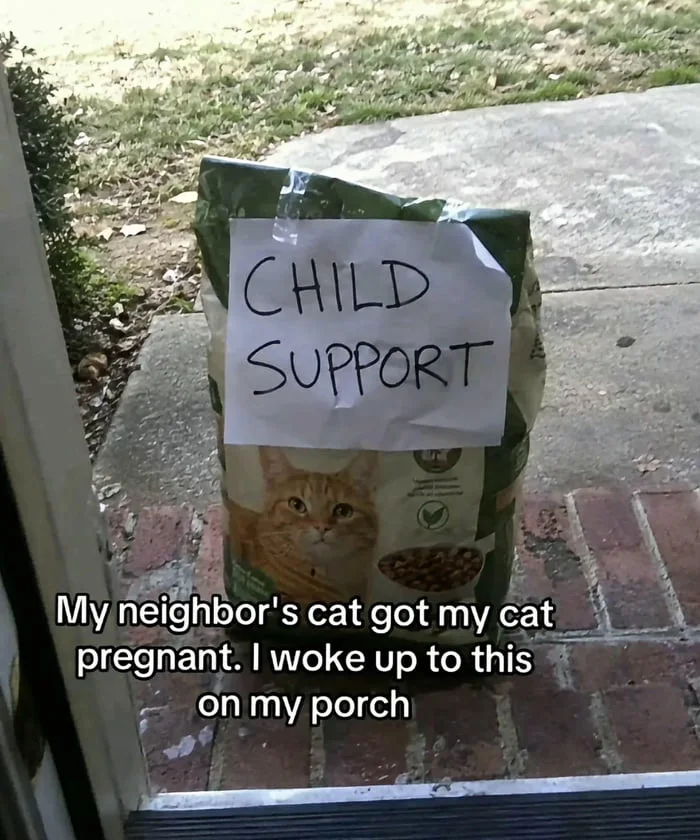 A bag of cat food with a handwritten note saying 'CHILD SUPPORT' left on a porch. Text: CHILD SUPPORT / My neighbor's cat got my cat pregnant. I woke up to this on my porch
