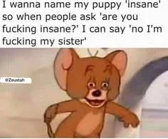 Witty title. Animated bear character with text joke about naming a puppy to create a confusing response. Text: I wanna name my puppy 'insane' so when people ask 'are you fucking insane?' I can say 'no I'm fucking my sister' / @Dexoshi