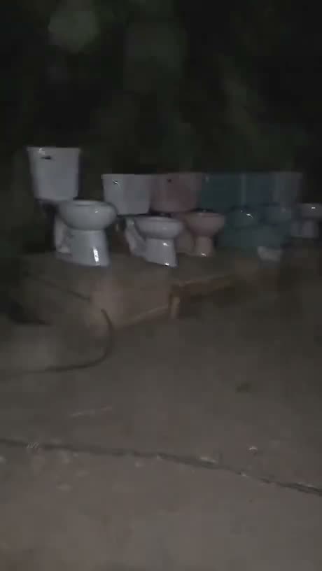 A blurry nighttime photo showing multiple toilets arranged on a…