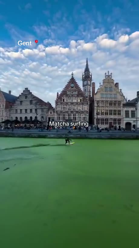 Matcha surfing
