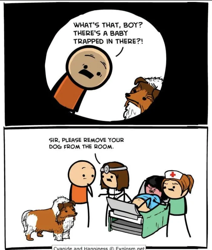 Whats wrong Lassie ?. A man misinterprets his dog's alert as a baby being trapped, when the dog is actually in a delivery room with a newborn. Text: WHAT'S THAT, BOY? THERE'S A BABY TRAPPED IN THERE?! / SIR, PLEASE REMOVE YOUR DOG FROM THE ROOM. / Cyanide and Happiness © Explosm.net