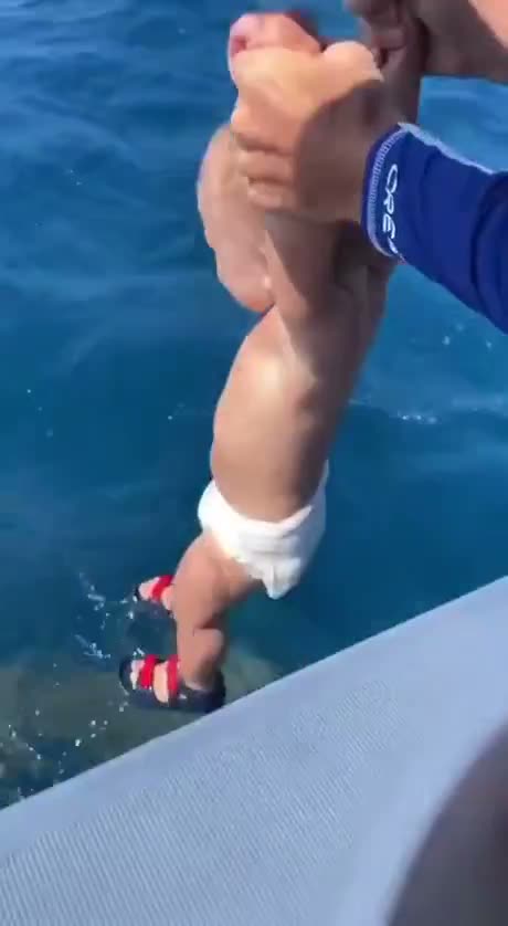 Baby shark