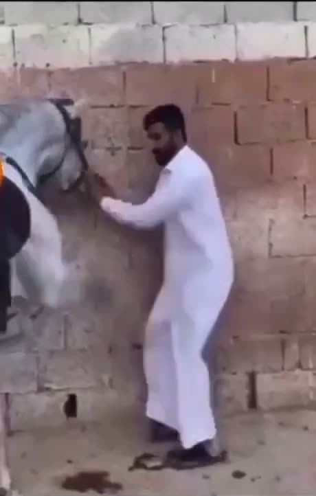 no horsing