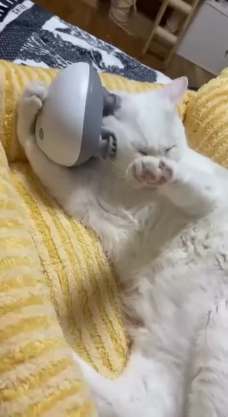 White cat wearing a VR headset while lying on a yellow blanket,…