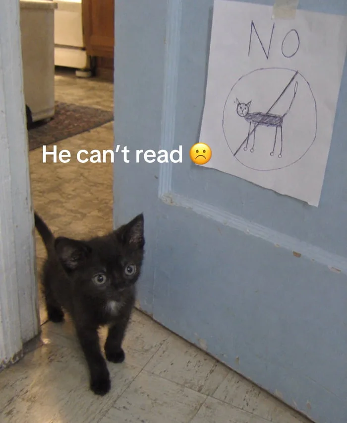 Illiteracy has its advantages. Black cat looking at a hand-drawn sign with "NO" and a crude cat drawing on a door. Text: He can't read 😞 / NO