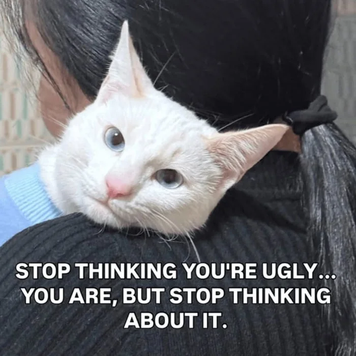 A white cat held by a person delivers brutally honest advice about self-image in a humorous way. Text: STOP THINKING YOU'RE UGLY... YOU ARE, BUT STOP THINKING ABOUT IT