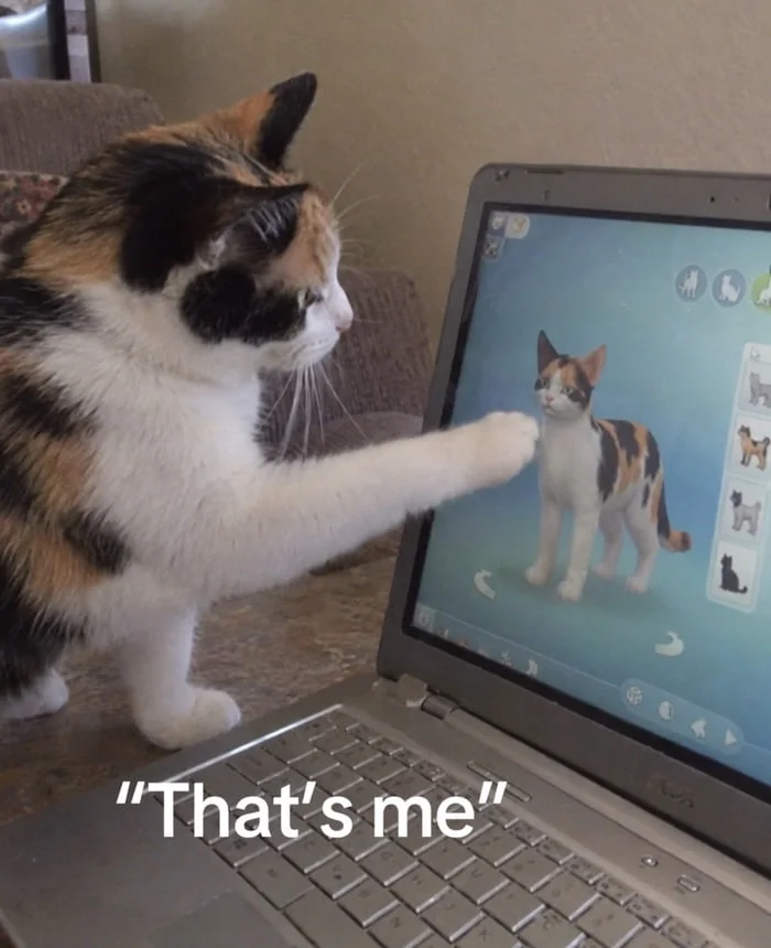 Found my digital twin. A calico cat points at a laptop screen displaying an image of a similar-looking cat. Text: That's me