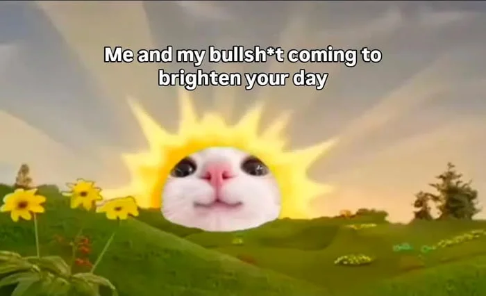 A cat's face superimposed on a bright sun in a cheerful meadow landscape. Text: Me and my bullsh*t coming to brighten your day