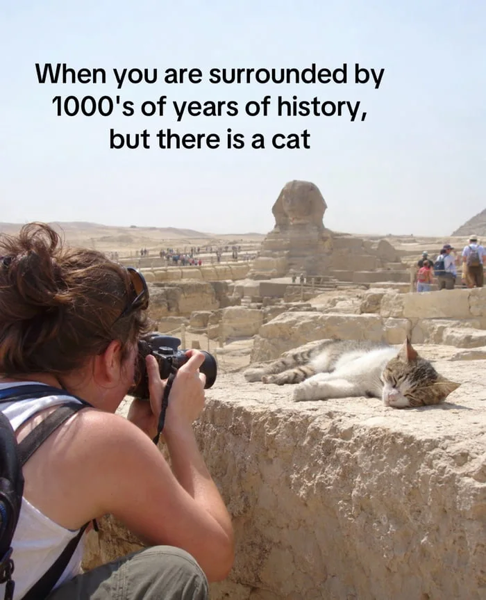 Tourist photographing a cat lounging at an ancient Egyptian archaeological site instead of the historical monuments. Text: When you are surrounded by 1000's of years of history, but there is a cat
