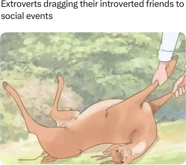My inner animal is opossum. A person being dragged along the ground by their arms while resisting, illustrating reluctant participation. Text: Extroverts dragging their introverted friends to social events