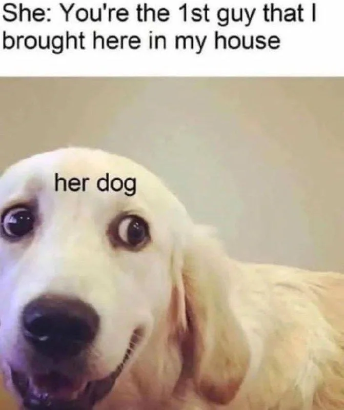 A white dog with wide eyes and an open-mouthed expression showing surprise or excitement. Text: She: You're the 1st guy that I brought here in my house / her dog
