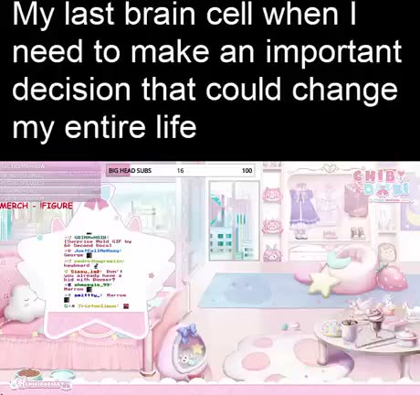 My last brain cell when I need to make an important decision that…