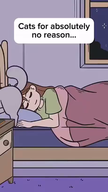 Nightly terror