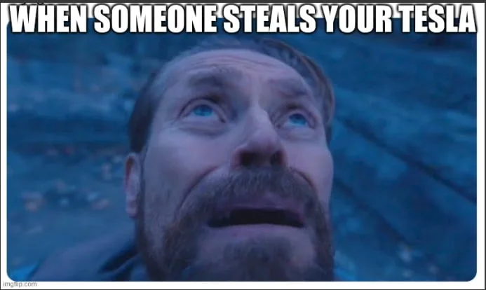 A bearded man with an shocked and distressed facial expression looking upward. Text: WHEN SOMEONE STEALS YOUR TESLA