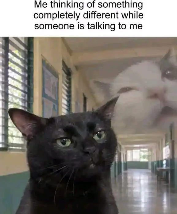 A black cat with an unfocused, vacant expression stares off to the side while someone talks. Text: Me thinking of something completely different while someone is talking to me