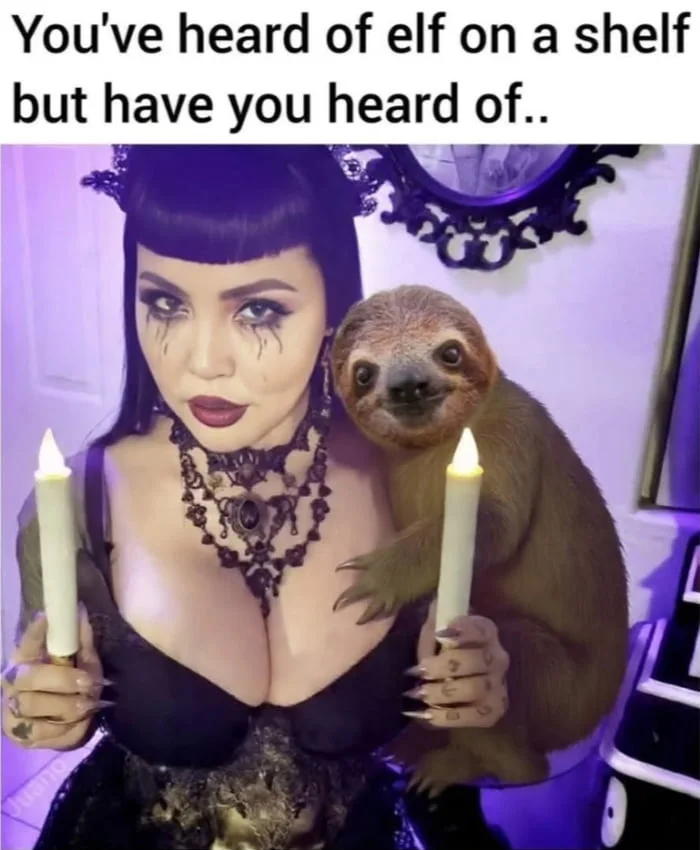 A woman in goth makeup with a sloth photoshopped behind her holding candles, playing on the "elf on a shelf" meme format. Text: You've heard of elf on a shelf but have you heard of