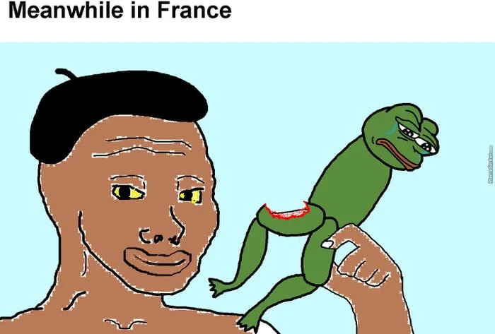 A crude drawing of a person holding a green frog-like creature, captioned 'Meanwhile in France'. Text: Meanwhile in France
