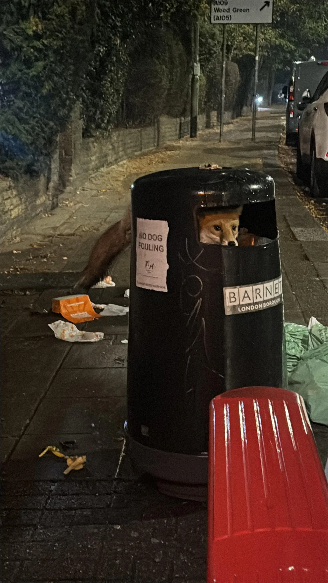 A fox peers out from inside a black trash bin labeled with a no dog fouling sign on a London street. Text: M109 Wood Green (A105) / NO DOG FOULING / BARNET LONDON BOROUGH