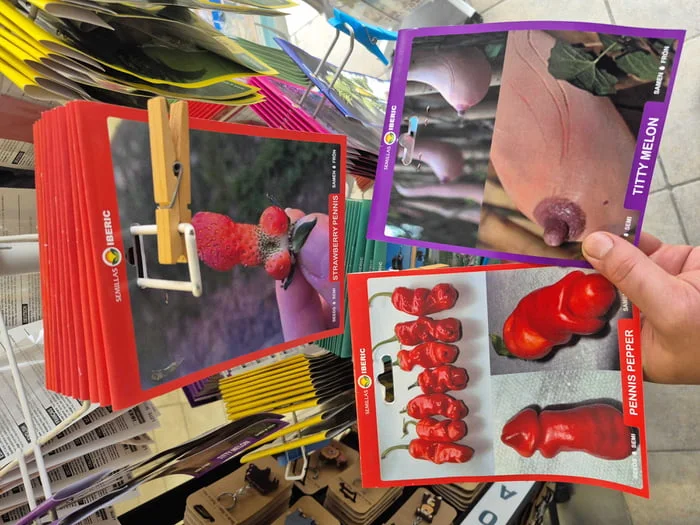 Just a bitte shy. Collection of seed packet boxes displaying images of red berries, peppers, and melons arranged on newspaper. Text: ORGANIC / WITH MELON / RED PEPPER