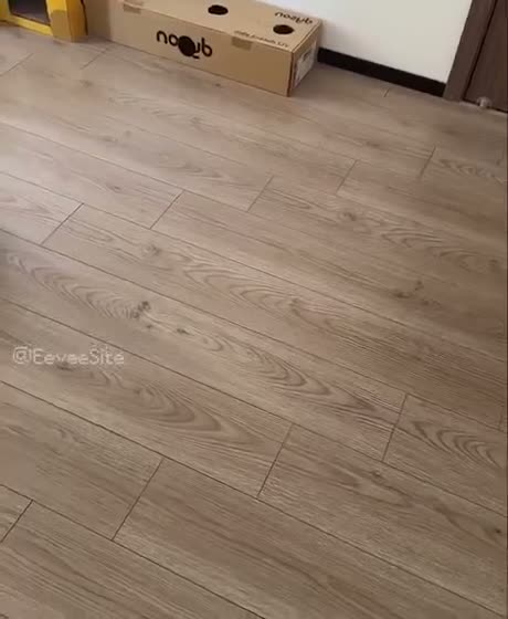 Wooden laminate flooring with a cardboard box labeled 'noxub' in an…