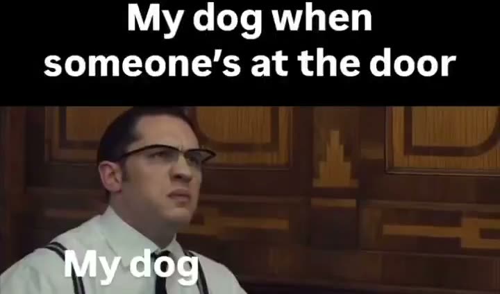 Dog mode activated instantly