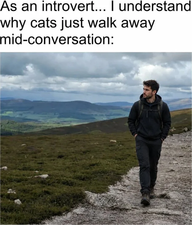 Social battery just hit zero. A person walking alone on a hillside path overlooking a scenic valley landscape. Text: As an introvert... I understand why cats just walk away mid-conversation: